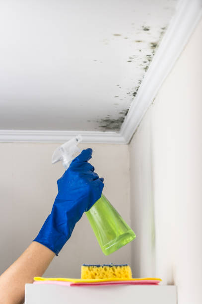 Best Residential Mold Inspection & Testing  in Seaside, CA